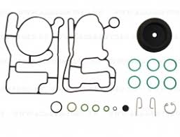     BRC IMPCO Genius Max C/VS BUSTA REVIS RID. 02RR00502508